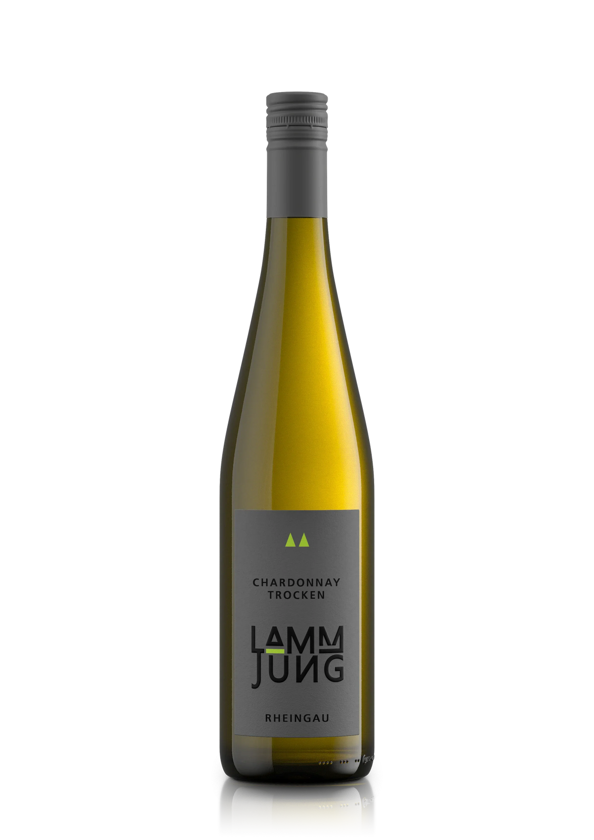Chardonnay trocken Rheingau QbA Meisterwein 2023
Meister Chardonnay trocken – Exotischer Schmelz aus dem Rheingau
