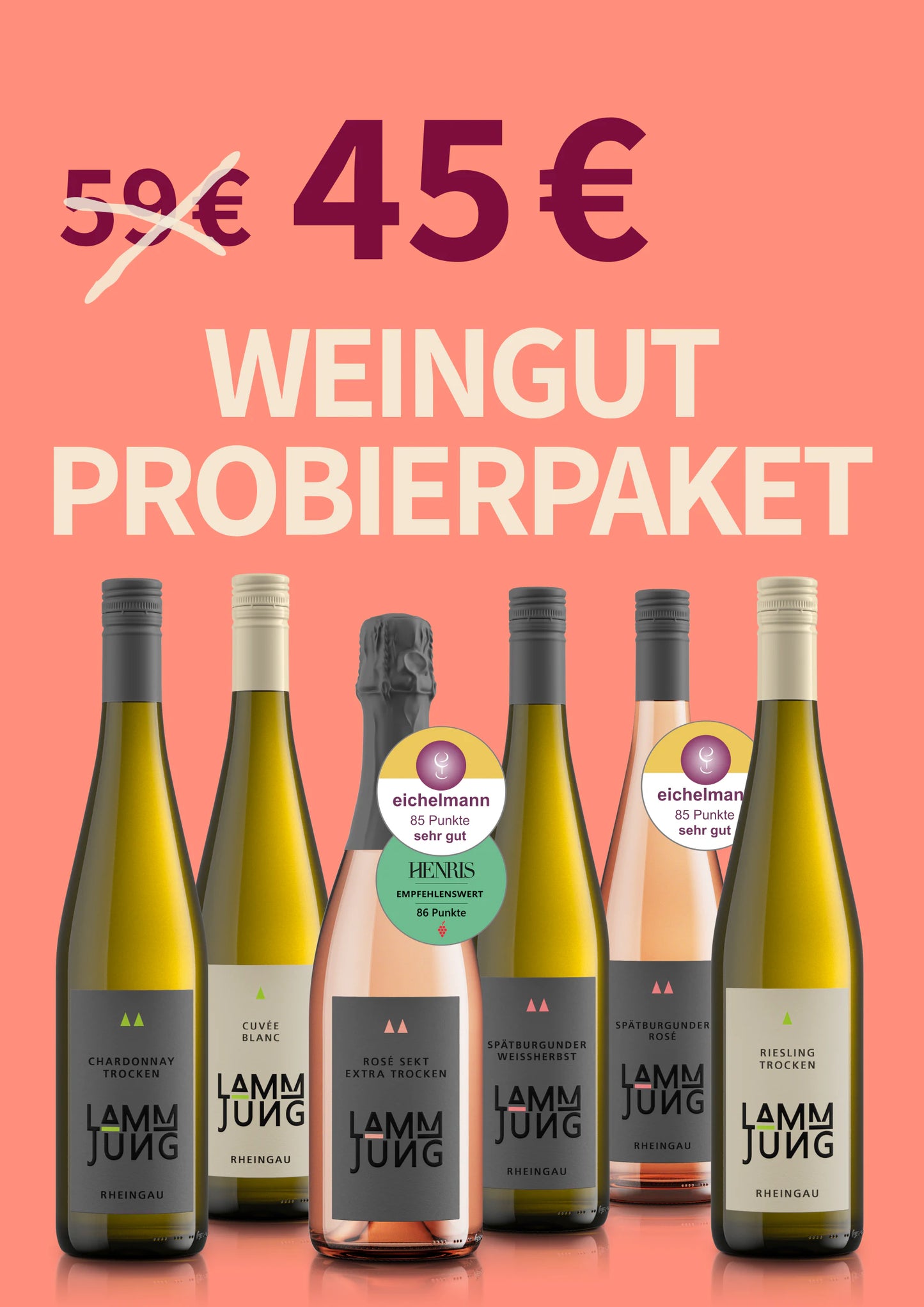 Weingut Probierpaket (5 Weine + 1 Sekt): Ein Querschnitt aus unserem Sortiment - Weingut Lamm-Jung