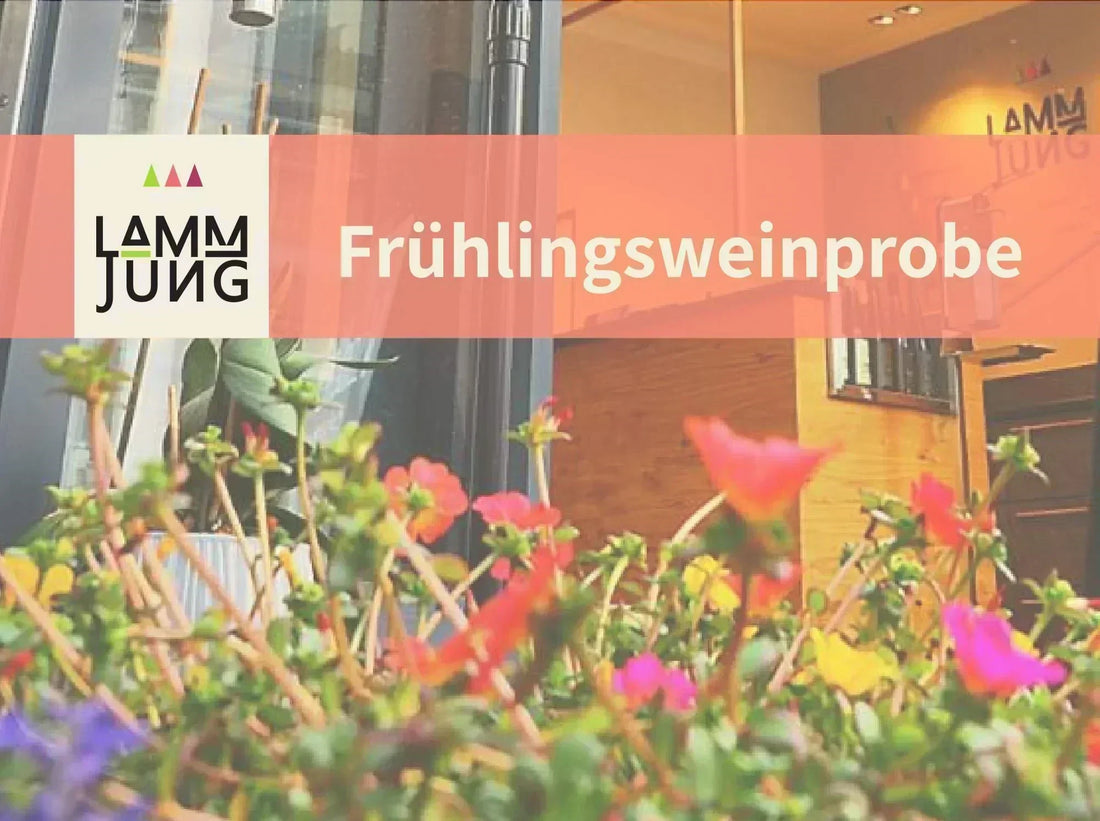 Frühlingsweinprobe 2026 - Bild mit Frühlingsblumen und Blick in unsere Vinothek