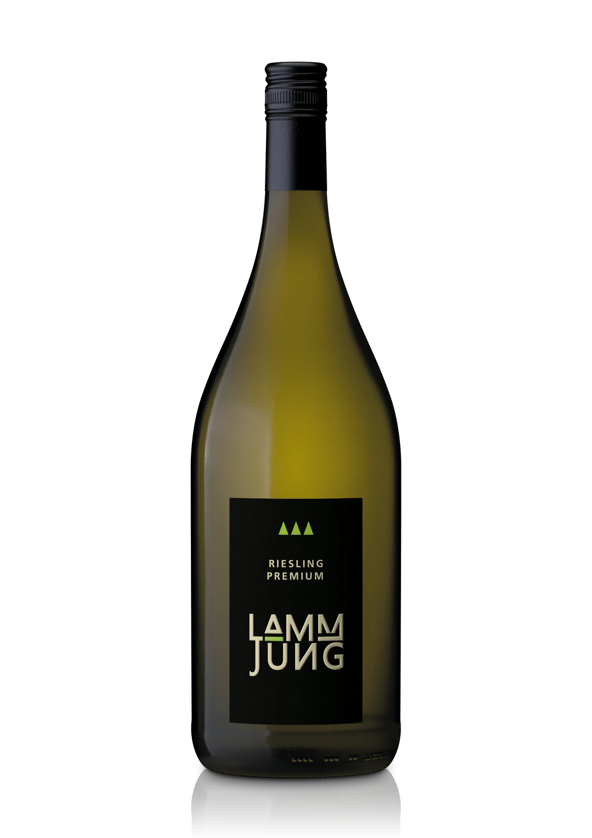 Magnum Riesling 2016 trocken (1,5l)