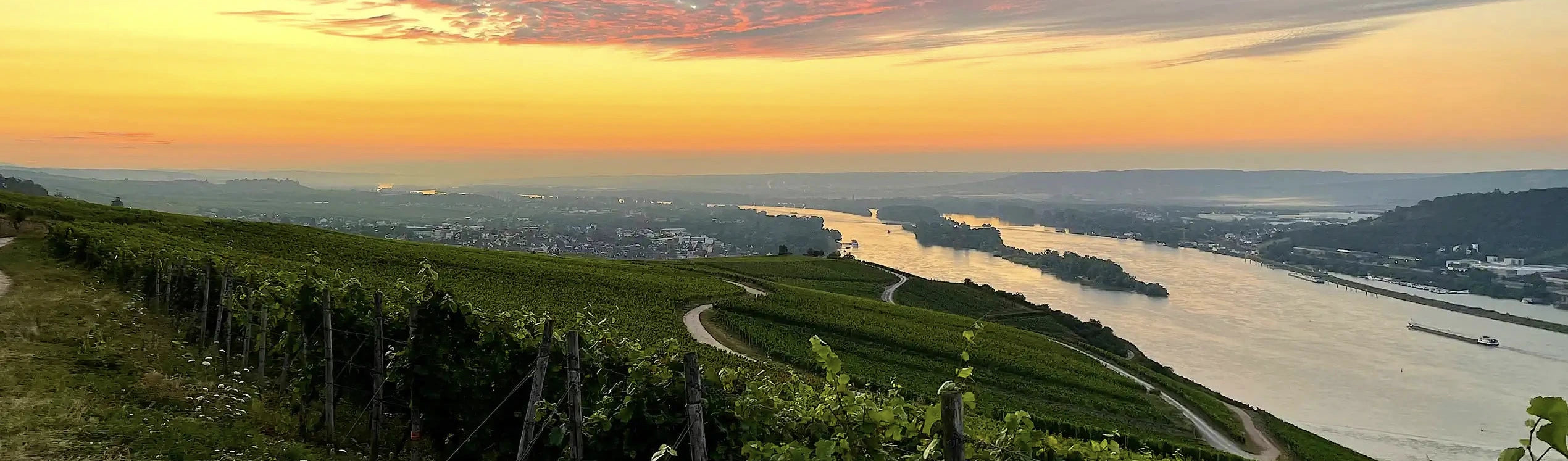 Rheingau Eltville Landschaft Sonnenuntergang 2450px