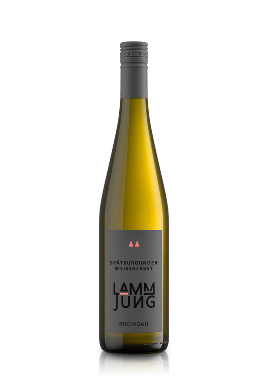 Spätburgunder Weissherbst feinherb Rheingau QbA Meisterwein 2025