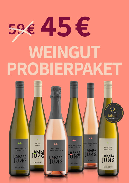 Weingut Probierpaket (5 Weine + 1 Sekt): Ein Querschnitt aus unserem Sortiment